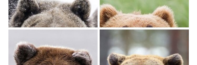 AintNoHoIIyBack's profile banner image