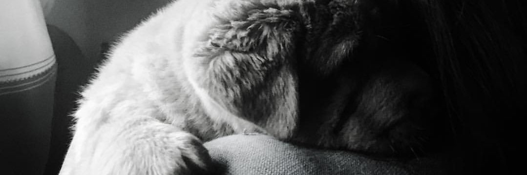 AprilCruzV's profile banner image
