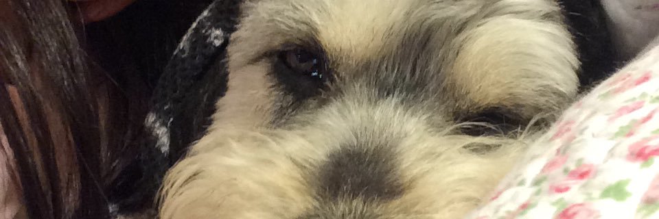 CataBarrios's profile banner image