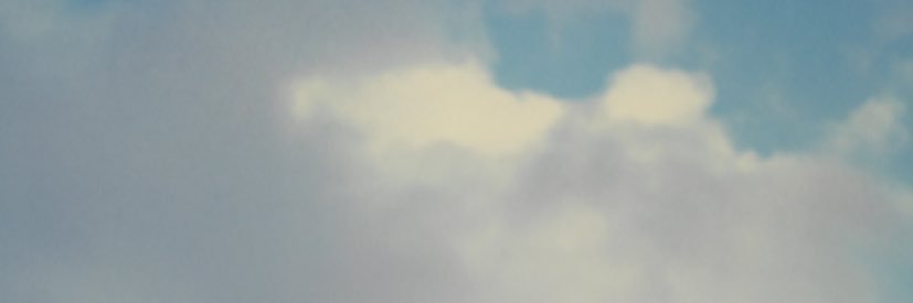 AriellaCohen's profile banner image