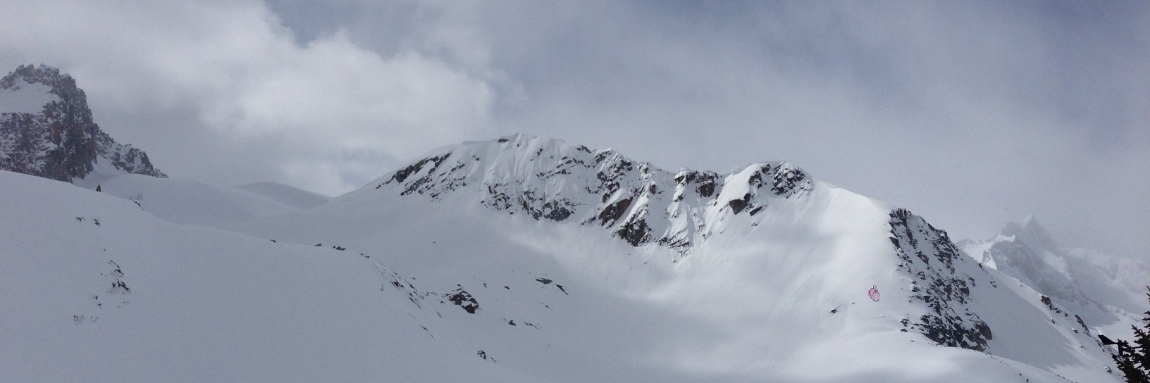 Amanda Bridenhagen banner