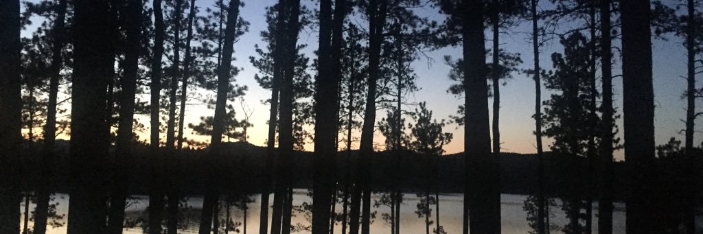 linz_aij's profile banner image