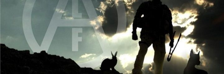 diego_peiro's profile banner image