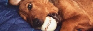 LittleKimYng's profile banner image