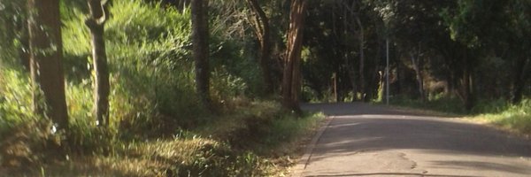 timothy_onyinge Profile Banner