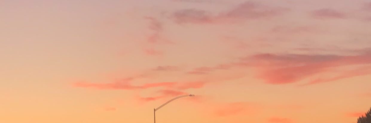 allivang_'s profile banner image