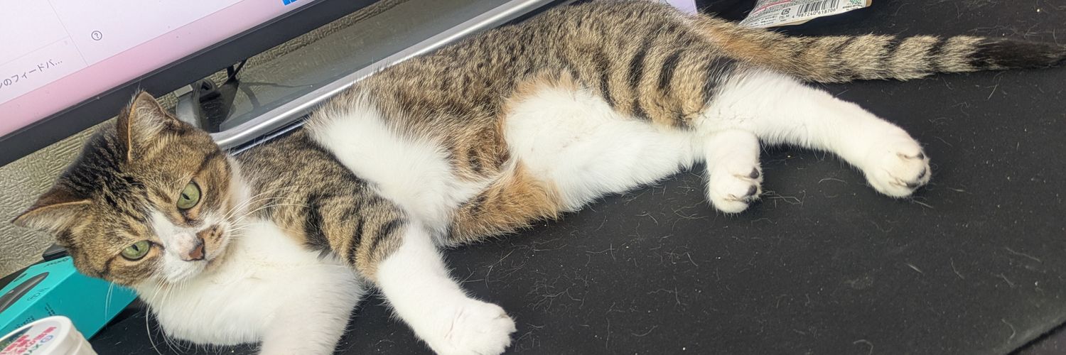 吉野茉莉@漫画「およそ100年幽閉されていた魔術師夫婦は世界を巡る」（原作） banner