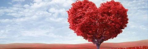 maylin20535977's profile banner image