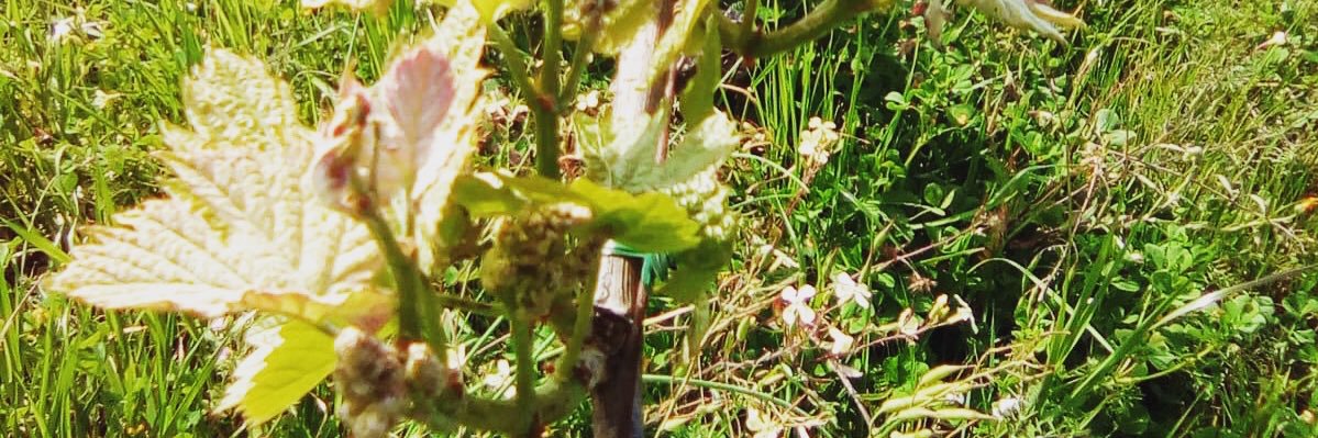 jonhoyrup's profile banner image