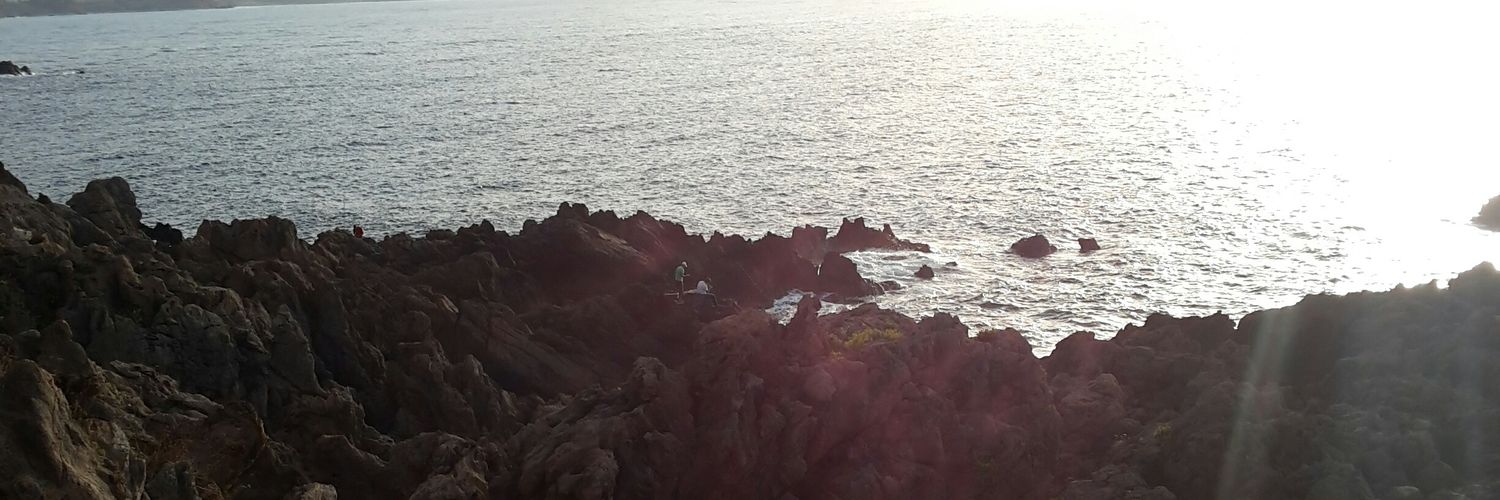 نصير الجزائري banner