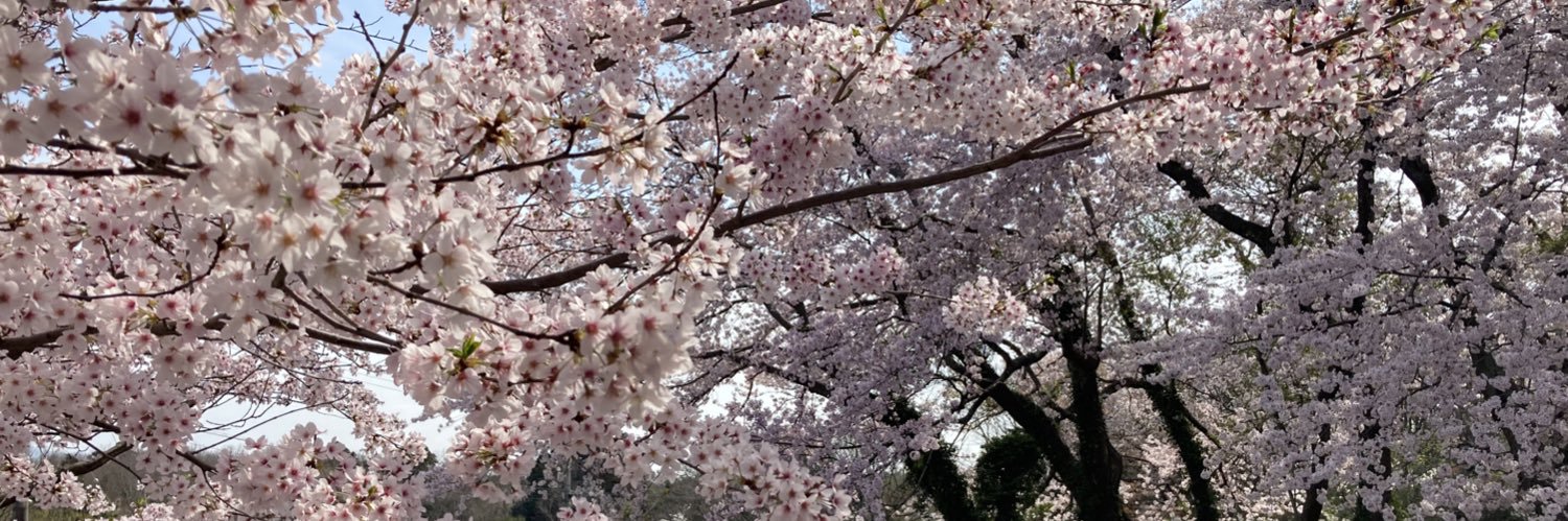 ytakekuma's profile banner image