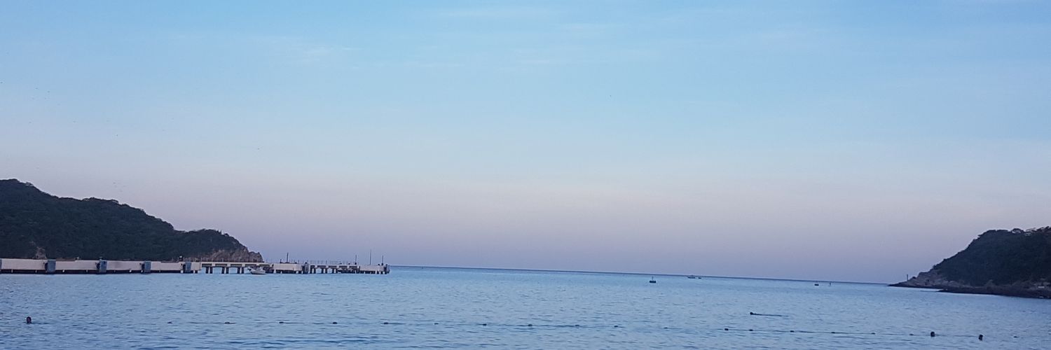 FLOR_ARRIETA's profile banner image
