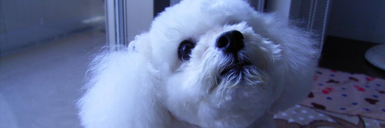 大神令子（特定社会保険労務士） banner