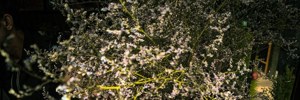 DFoursm Profile Banner