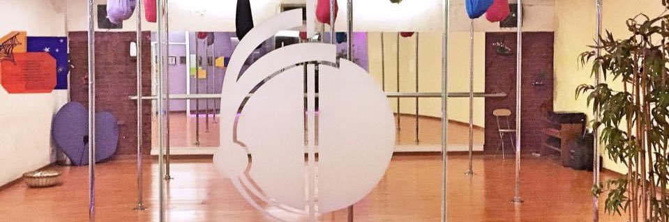 poledudance's profile banner image