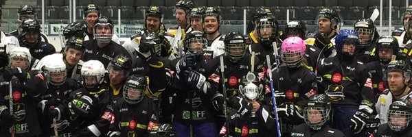 superlaget1 Profile Banner