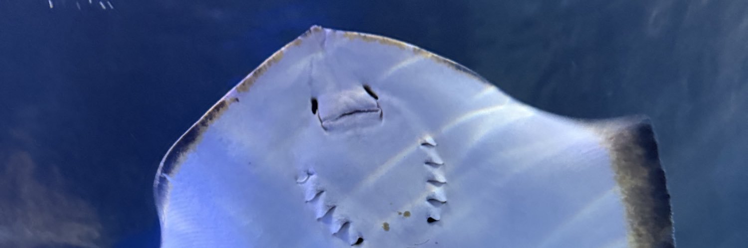 AgoBatallan's profile banner image