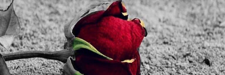 itsmerosieoh's profile banner image