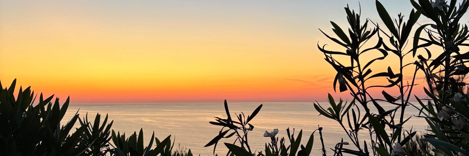 Tiagocr07's profile banner image