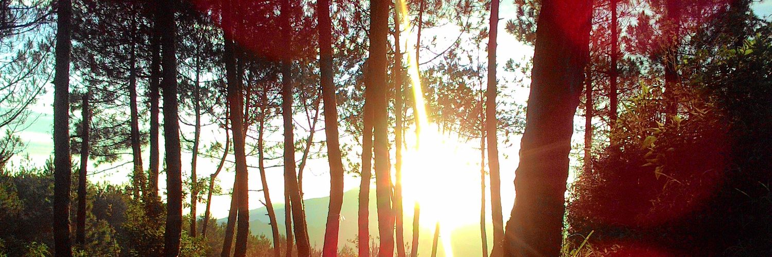 annisauh's profile banner image