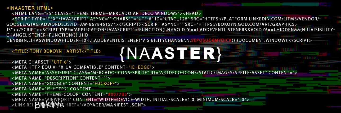 Naaster_ banner
