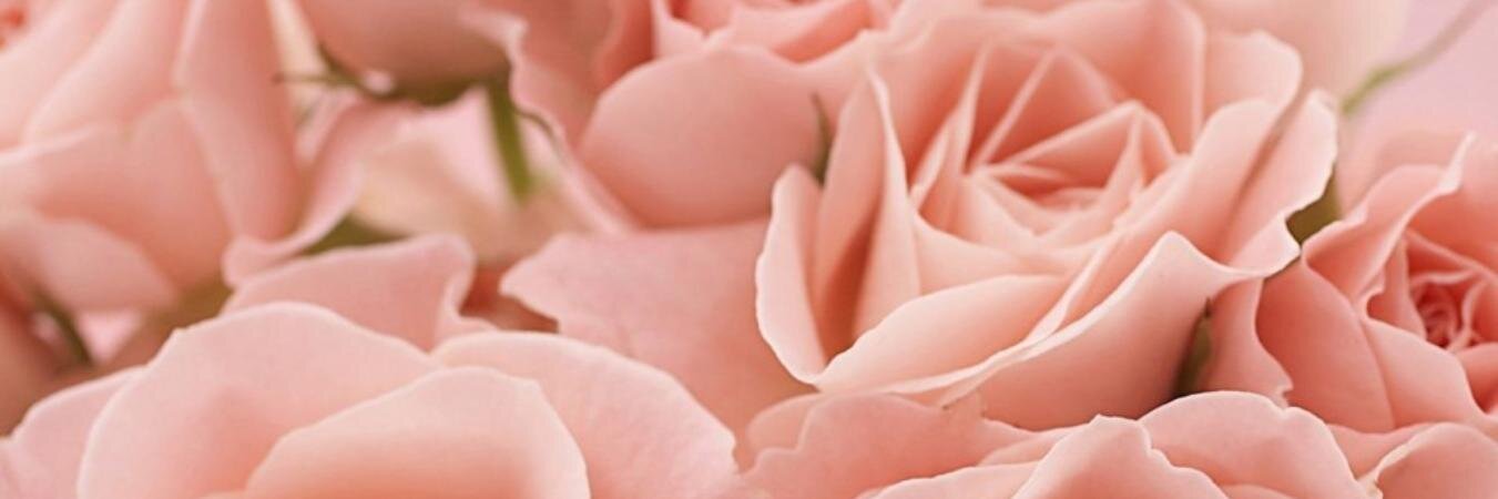 mrsaprind's profile banner image