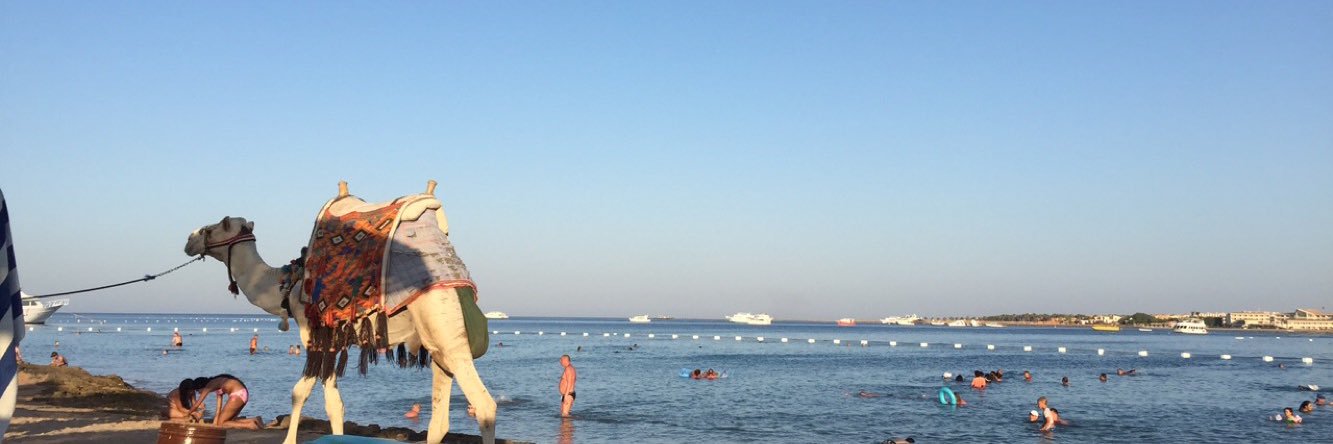 miramanoli's profile banner image