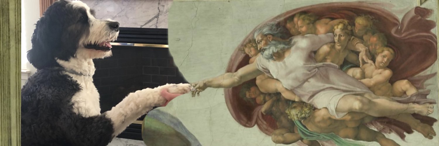 dumpsterdriving's profile banner image