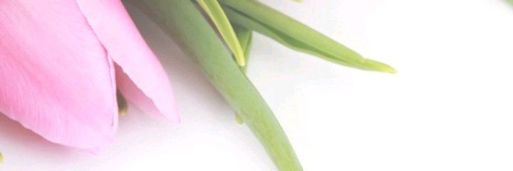 Eva Merino Garcés banner