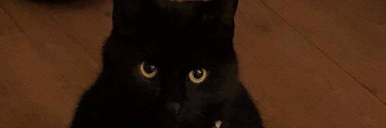 GregEvansg2's profile banner image