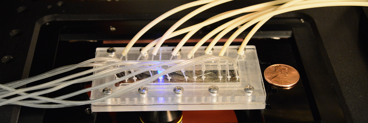 BiofluidicsLab banner