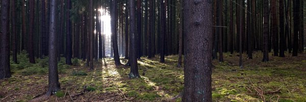 haschm Profile Banner