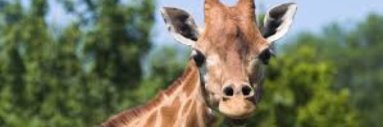 Mel_jessee88's profile banner image