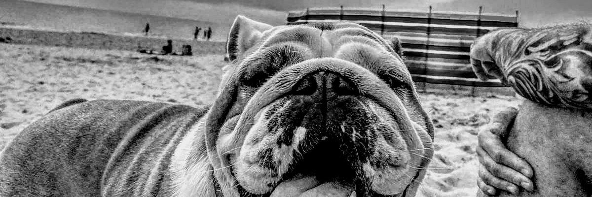 Igor Eberling banner