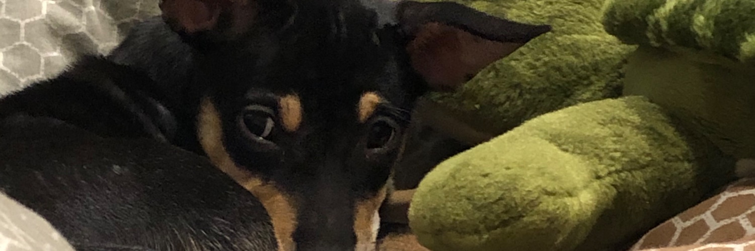 just another ganapathy banner