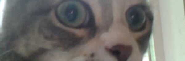 OneAndOnlyRakel's profile banner image