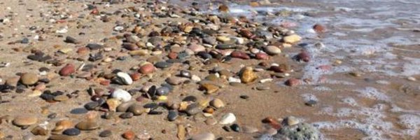 inedu Profile Banner