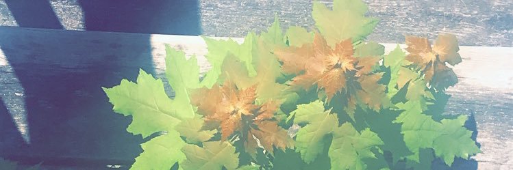 dynamitemoneyy's profile banner image
