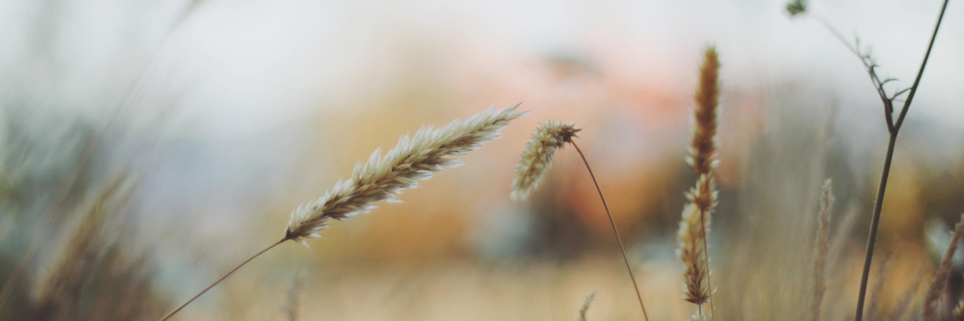 ljmatt's profile banner image