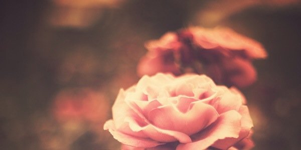 brittneyislame's profile banner image
