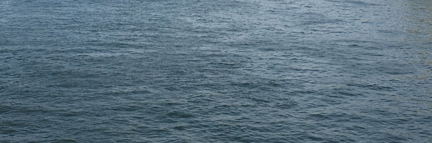 rsvanstrom1's profile banner image