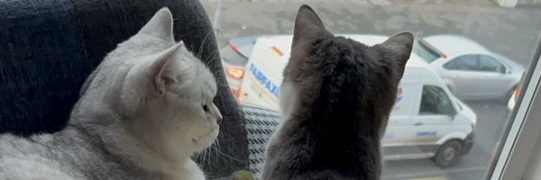 uxmsajjad Profile Banner