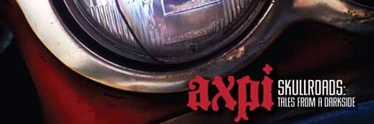 AXPI banner