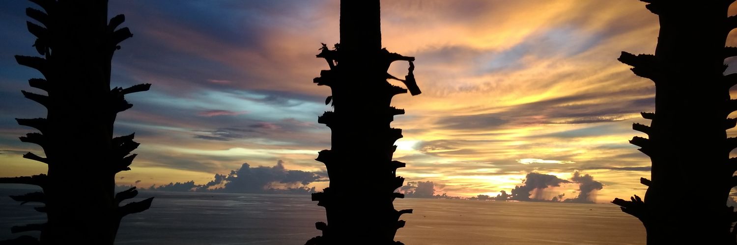 bukanbapau's profile banner image
