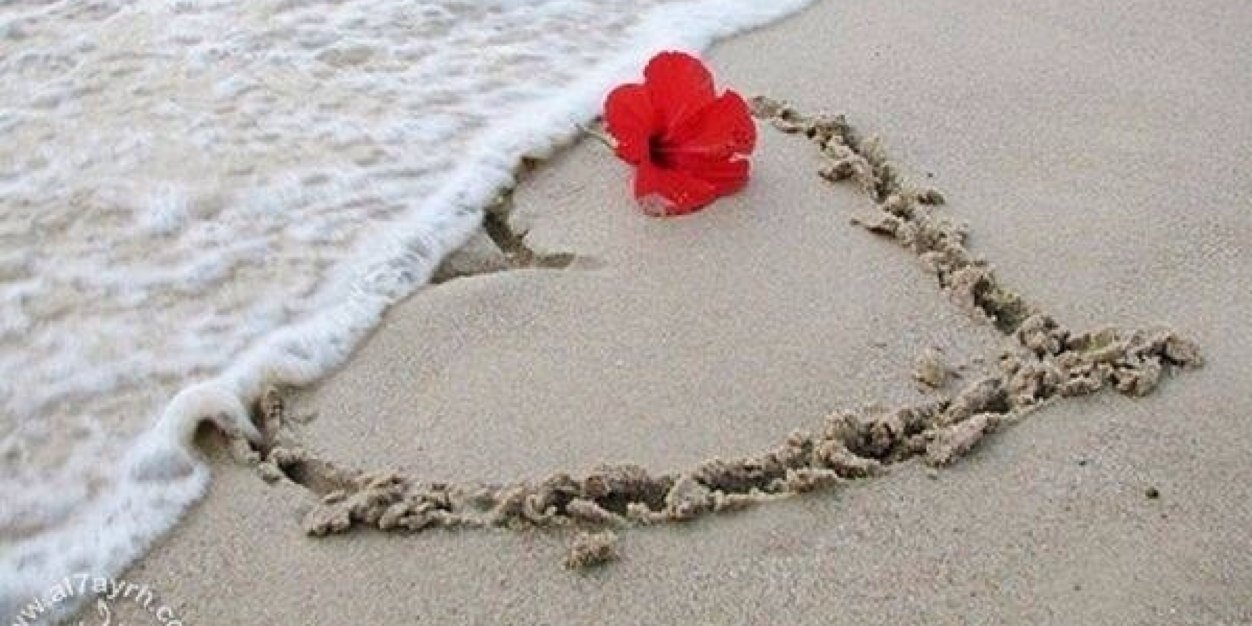 مشــاري banner