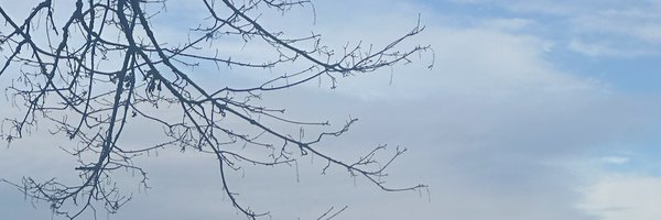 defsharpedm Profile Banner