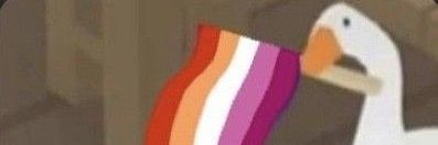 dudadwr's profile banner image