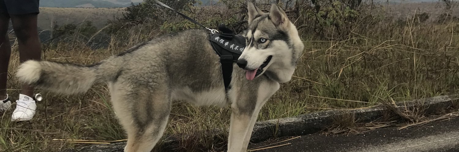 JeanMaxSica's profile banner image