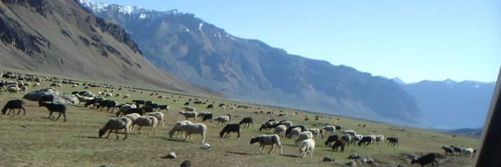 Parull Gossain banner