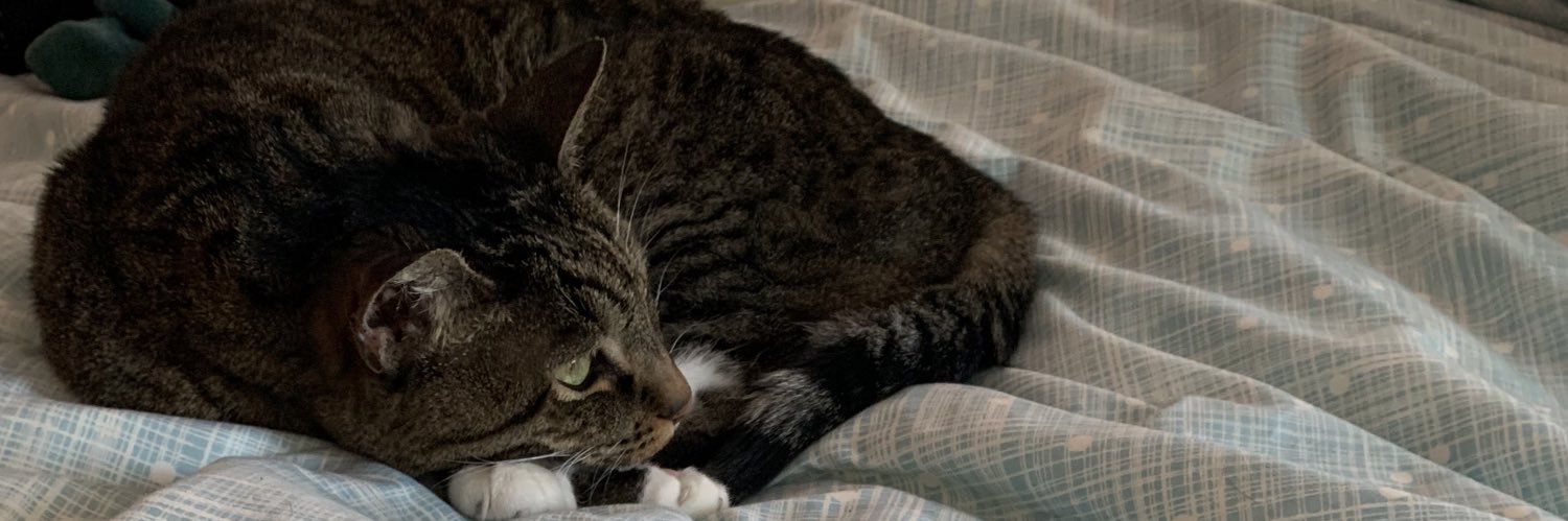 Gabby⁷ banner
